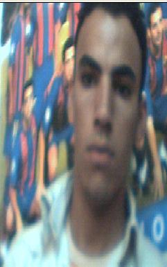salut pr tous